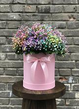 Цветочная композиция из Гипсофила и Розы в шляпной коробке в Карагай