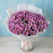 Букет цветов из:  Хризантемы #REPLACE_PRED# Карагай