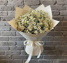 Букет цветов из:  Ромашки #REPLACE_PRED# Карагай