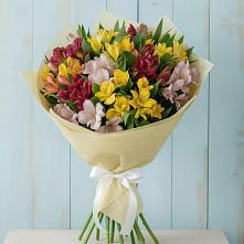 Букет цветов из:  Альстромерии в Карагай