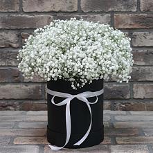Цветочная композиция из Гипсофила в шляпной коробке в Карагай