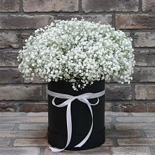 Цветочная композиция из Гипсофила в шляпной коробке в Карагай