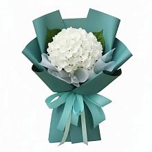 Букет цветов из:  Гортензия в Карагай